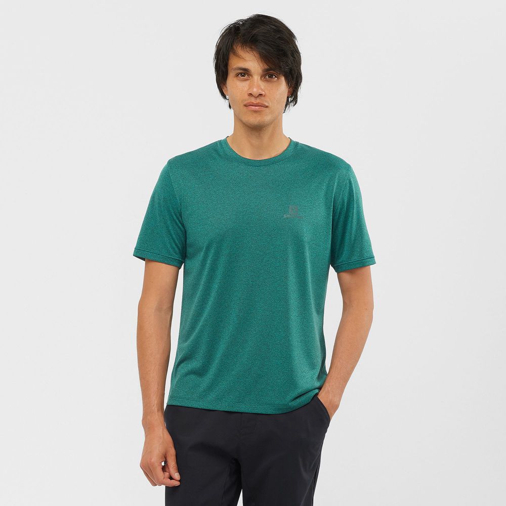 Camisetas Salomon EXPLORE M Hombre Verde - Chile (DJG-609513)